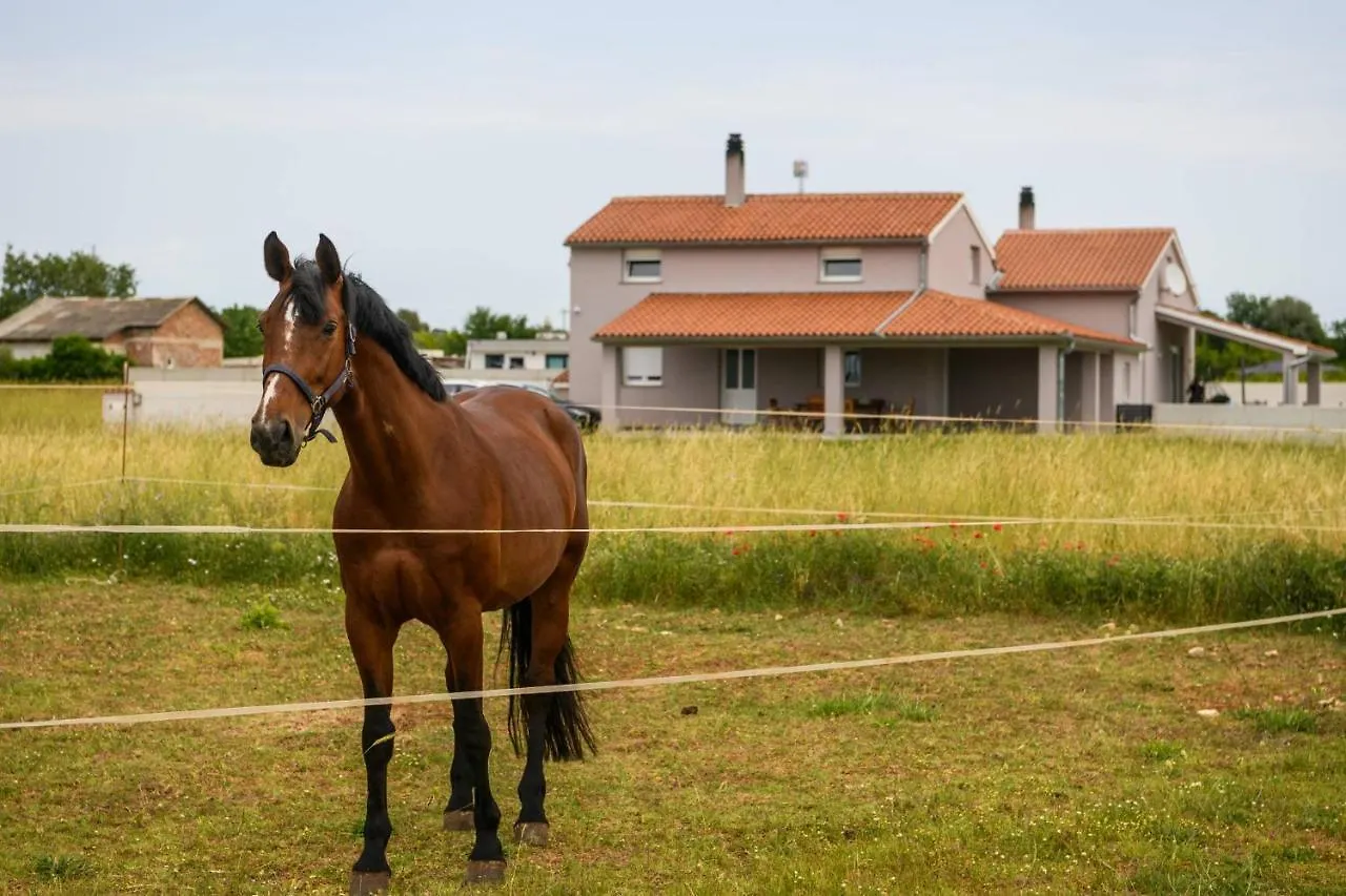 Holiday home Vacation House Ana Fazana
